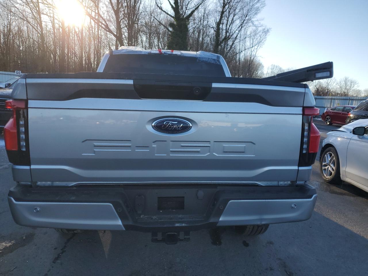2023 FORD F150 LIGHTNING PRO VIN:1FTVW1EL3PWG61686