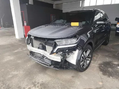 2021 Kia Sorento KNARL81GBMA050631 VIN:KNARL81GBMA050631