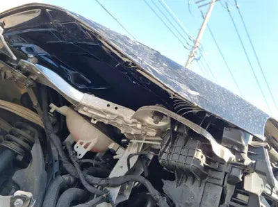 2020 Mercedes-Benz E 300 W1KZF4KB8LA824778 VIN:W1KZF4KB8LA824778