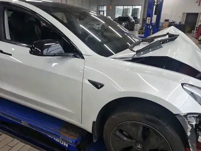 2020 Tesla Model 3 5YJ3E1EB6LF585137 VIN:5YJ3E1EB6LF585137