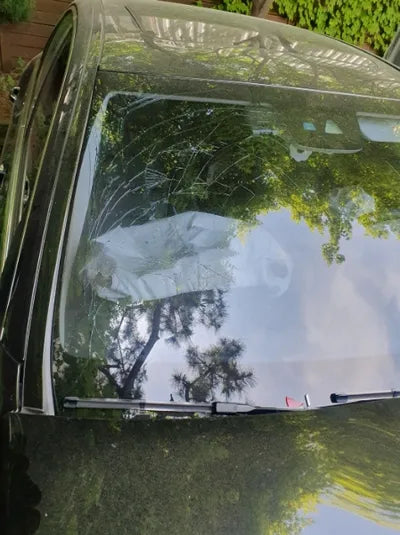 2019 Mercedes-Benz C 220 VIN: