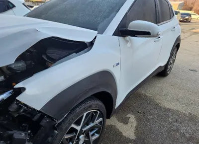 2020 Hyundai Kona KMHK381EGLU028060 VIN:KMHK381EGLU028060