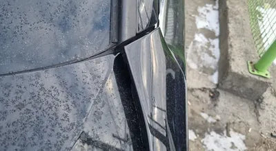 2016 Audi A6 WAUZZZ4G6GN156398 VIN:WAUZZZ4G6GN156398