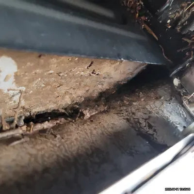 2021 BMW X4 M NONE VIN: