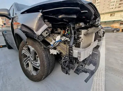 2021 Hyundai Santa FE KMHS381LGMU412456 VIN:KMHS381LGMU412456