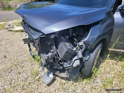 2019 Kia Sorento KNAPS81BBKA545743 VIN:KNAPS81BBKA545743