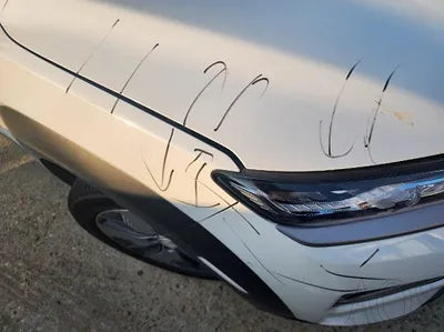 2019 Hyundai Kona KMHK381GFKU039767 VIN:KMHK381GFKU039767