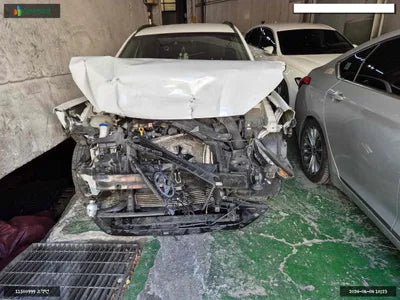2019 Hyundai Kona KMHK4815HKU300895 VIN:KMHK4815HKU300895