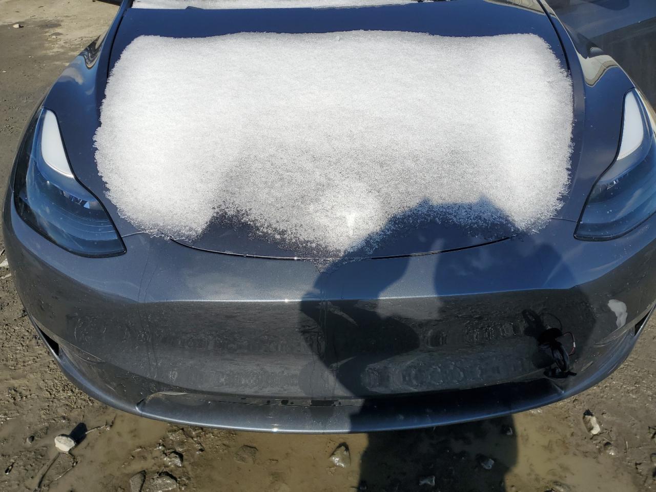 2023 TESLA MODEL Y  VIN:7SAYGDEE1PF842242