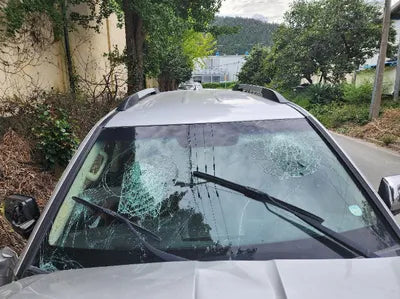 2017 Kia Mohave KNAKN814DHA160219 VIN:KNAKN814DHA160219