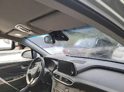 2019 Hyundai Santa FE KMHS281BBKU105979 VIN:KMHS281BBKU105979