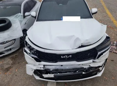 2023 Kia Sorento KNARJ81GBPA204006 VIN:KNARJ81GBPA204006