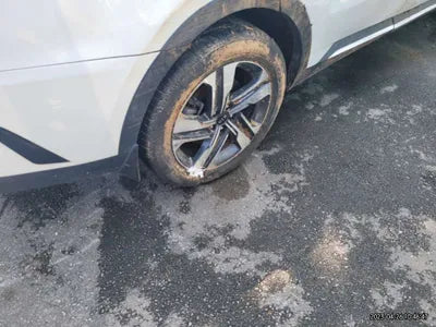 2021 Kia Sorento KNARG81GBMA004149 VIN:KNARG81GBMA004149