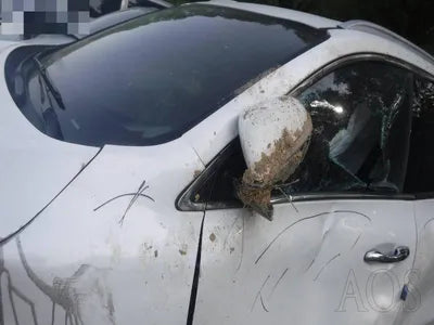 2017 Kia Sorento KNAPG81ABJA412119 VIN:KNAPG81ABJA412119