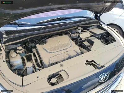 2017 Kia Carnival KNAMC81ABHS319234 VIN:KNAMC81ABHS319234