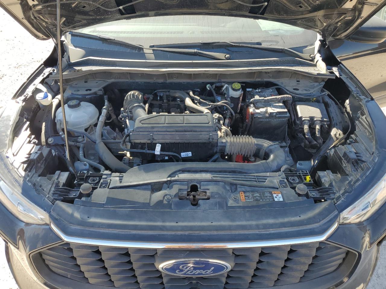 2023 FORD ESCAPE ACTIVE VIN:1FMCU0GN7PUA16956