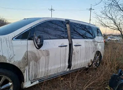 2018 Kia Carnival KNAME81ABJS434732 VIN:KNAME81ABJS434732