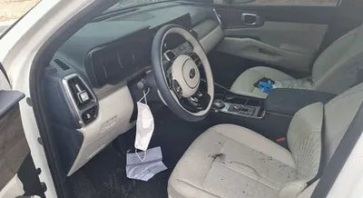 2021 Kia Sorento KNARH81GBMA021079 VIN:KNARH81GBMA021079