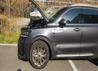 2023 Kia Sorento KNARH81FGPA182937 VIN:KNARH81FGPA182937