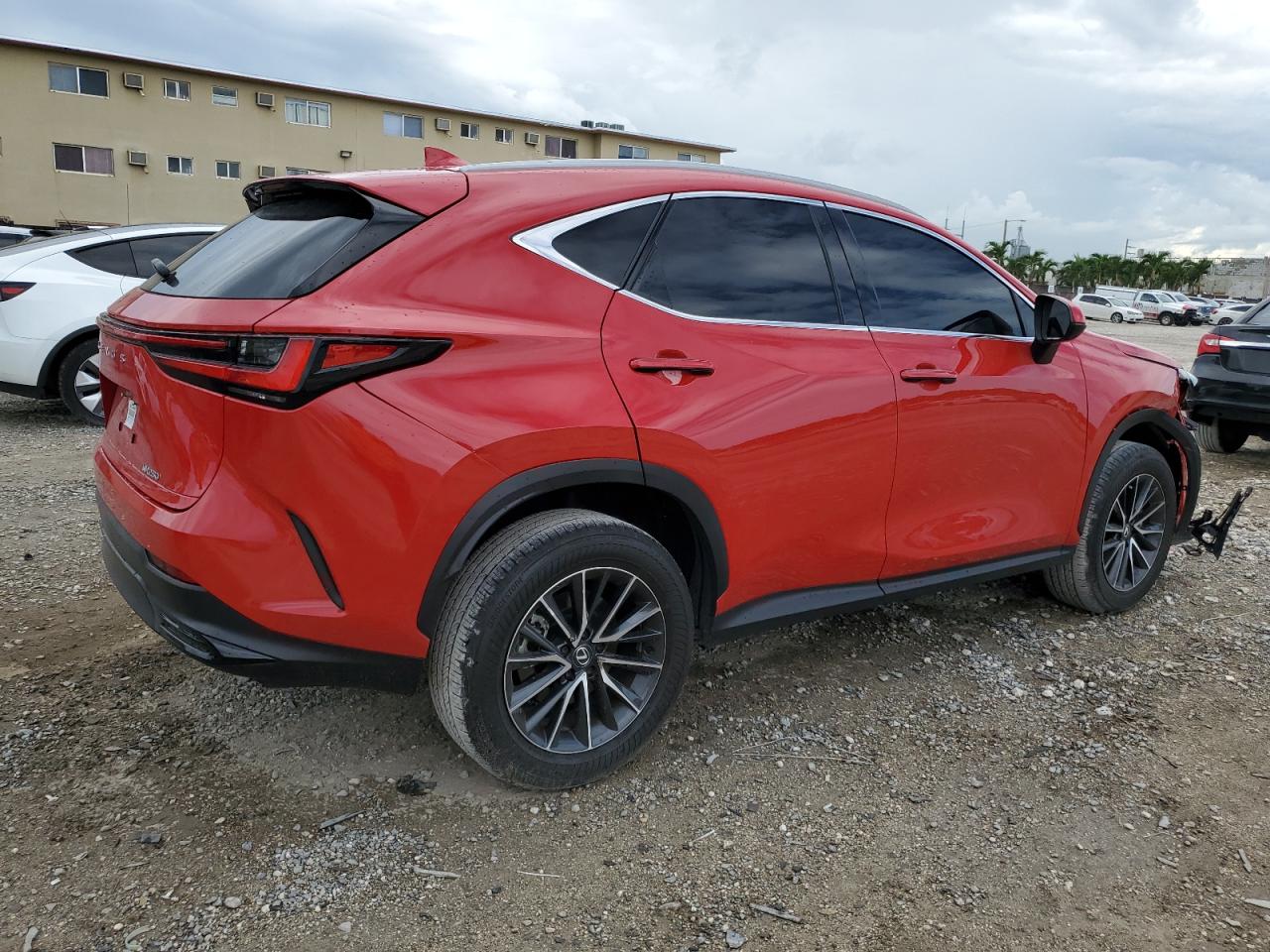 2024 LEXUS NX 250 BASE VIN:2T2ADCAZ1RC015158