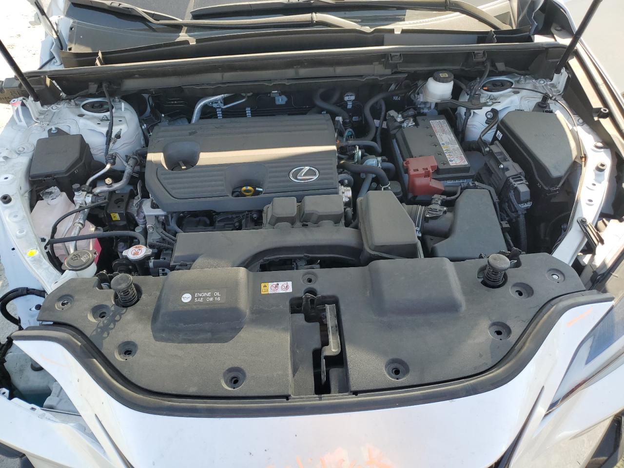 2024 LEXUS NX 250 BASE VIN:JTJADCAZXR5016226