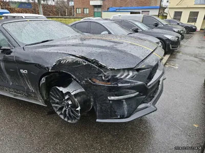 2019 Ford Mustang GT 738KM1FATP8FF9K51 VIN:738KM1FATP8FF9K51