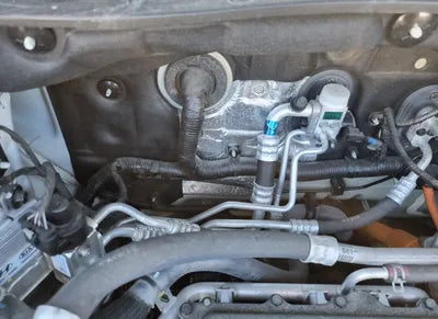 2019 Hyundai Kona KMHK381GFKU056455 VIN:KMHK381GFKU056455