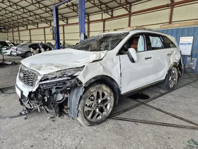 2019 Kia Sorento KNAPH81BBLA573070 VIN:KNAPH81BBLA573070