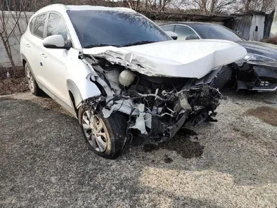 2019 Hyundai Tucson KMHJ381ADKU927566 VIN:KMHJ381ADKU927566