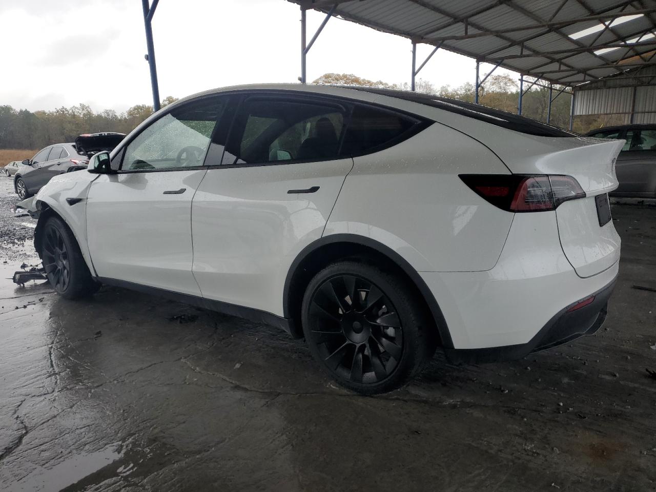 2023 TESLA MODEL Y  VIN:7SAYGDEE2PA047388