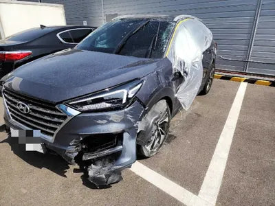 2020 Hyundai Tucson KMHJ3812GLU289063 VIN:KMHJ3812GLU289063