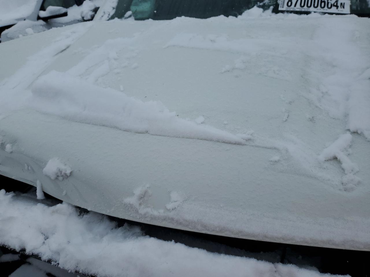 2024 NISSAN FRONTIER S VIN:1N6ED1CM1RN641072