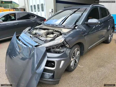 2018 Hyundai Kona KMHK4815GJU067809 VIN:KMHK4815GJU067809