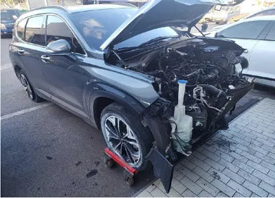 2019 Hyundai Santa FE KMHS281BBKU066495 VIN:KMHS281BBKU066495