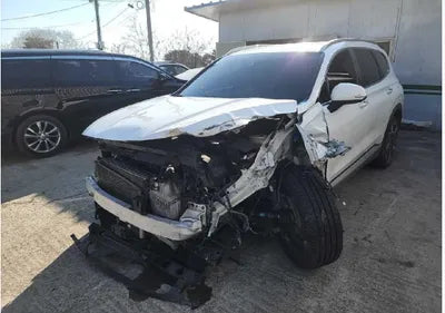 2021 Hyundai Santa FE KMHS381HGMU310393 VIN:KMHS381HGMU310393