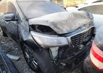 2019 Kia Carnival KNAME811BKS457507 VIN:KNAME811BKS457507