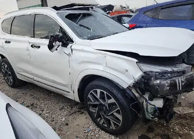 2021 Hyundai Santa FE KMHS581HGMU396744 VIN:KMHS581HGMU396744