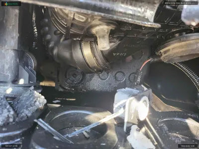 2016 Hyundai Santa FE KMHSW81UBHU725651 VIN:KMHSW81UBHU725651