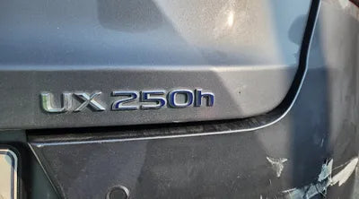 2019 Lexus UX 250 JTHU9JBH4K2002923 VIN:JTHU9JBH4K2002923