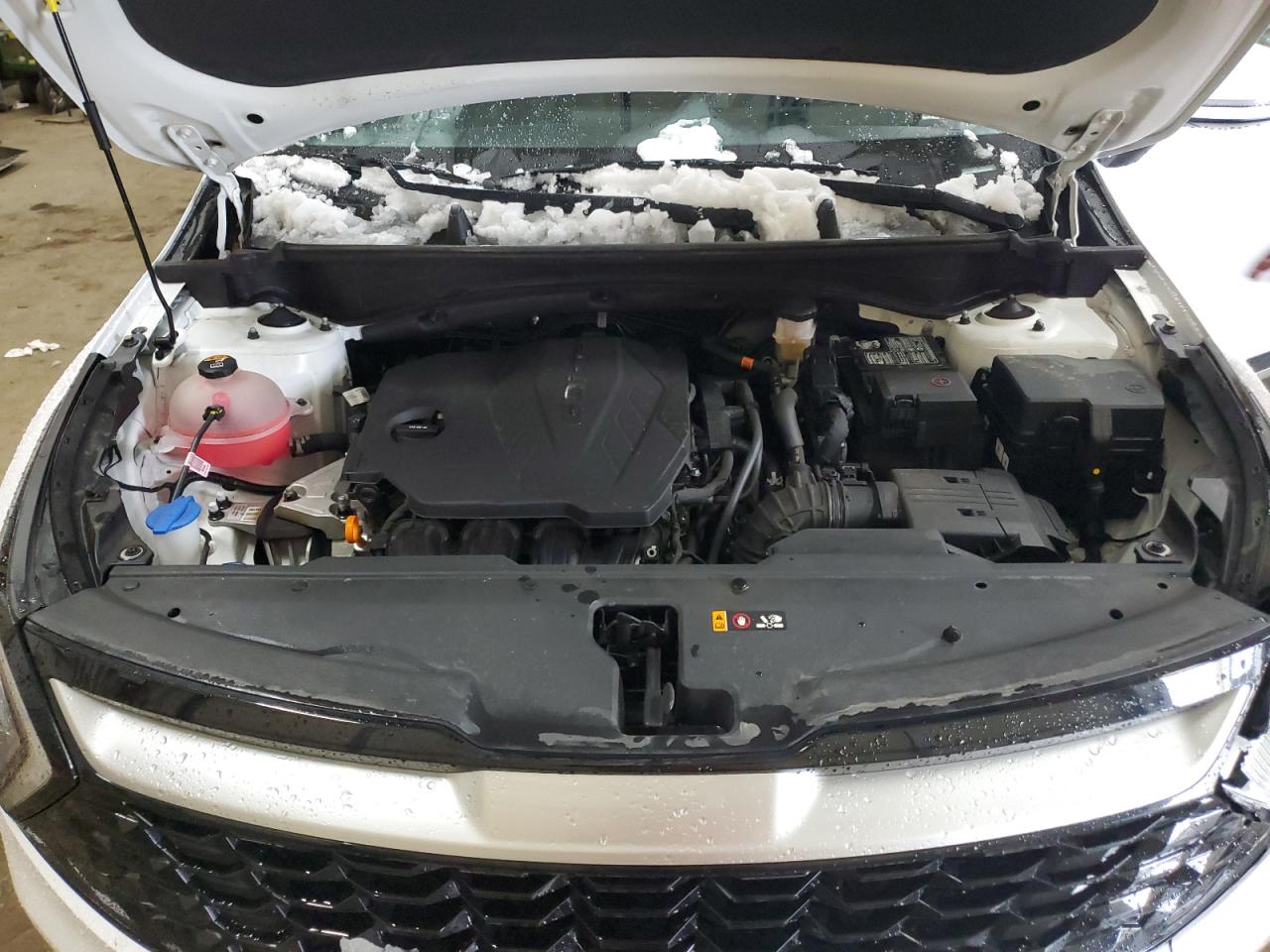 2023 KIA SPORTAGE EX VIN:5XYK3CAF9PG113602