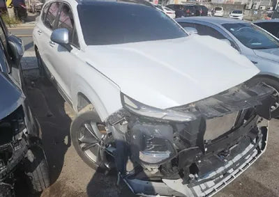 2019 Hyundai Santa FE KMHS581BDKU060270 VIN:KMHS581BDKU060270