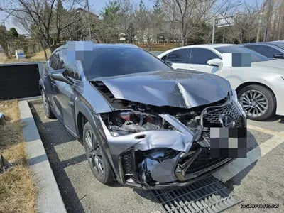 2021 Lexus UX 250 JTHR6JBH4M2103204 VIN:JTHR6JBH4M2103204