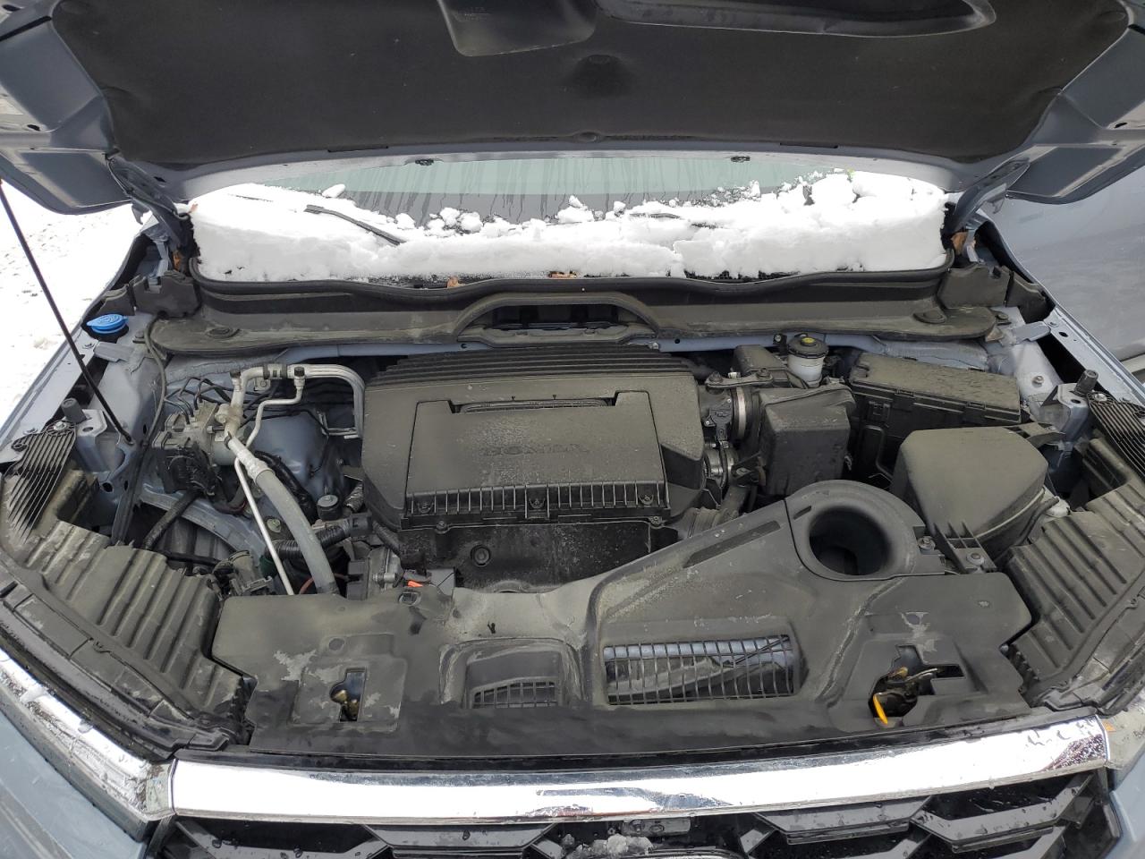 2023 HONDA PILOT ELITE VIN:5FNYG1H83PB041216