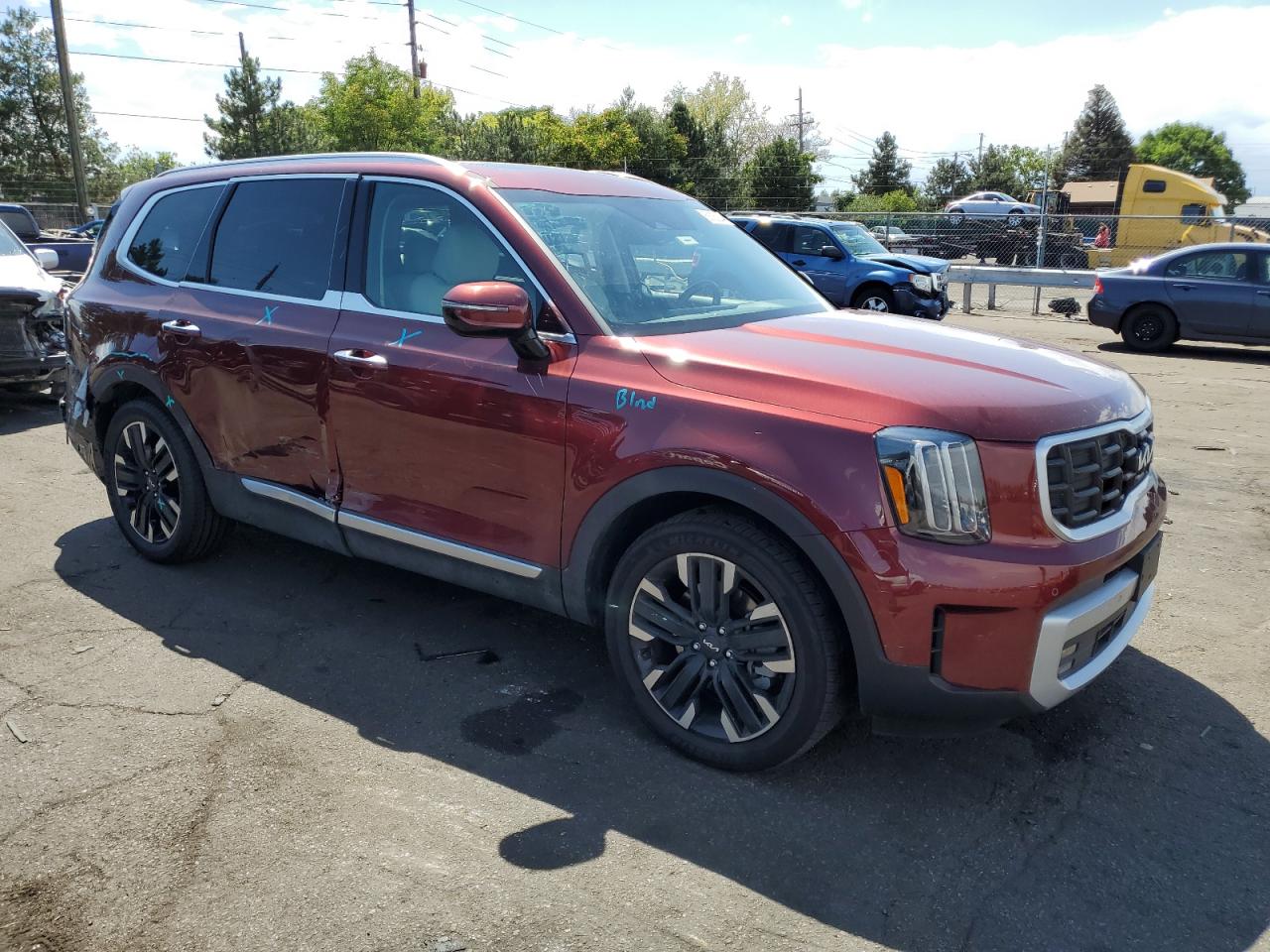 2024 KIA TELLURIDE SX VIN:5XYP5DGC9RG441186