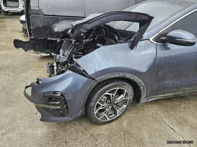 2019 Kia Sportage KNAPP81ABKK643821 VIN:KNAPP81ABKK643821