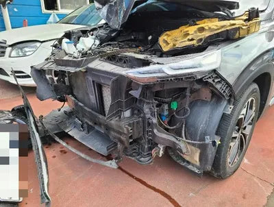 2019 Hyundai Santa FE KMHS281BBKU139725 VIN:KMHS281BBKU139725