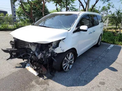 2019 Kia Carnival KNAME81ABKS499170 VIN:KNAME81ABKS499170