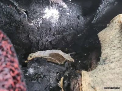 2016 Audi Q5 WAUZZZ8R0GA050175 VIN:WAUZZZ8R0GA050175