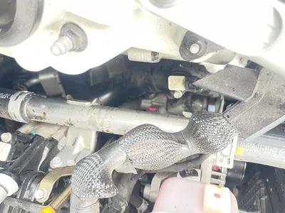 2020 Genesis G80 VIN: