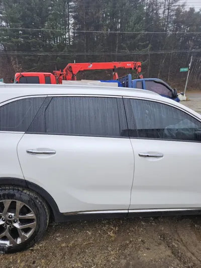 2019 Kia Sorento KNAPH811DLA630874 VIN:KNAPH811DLA630874